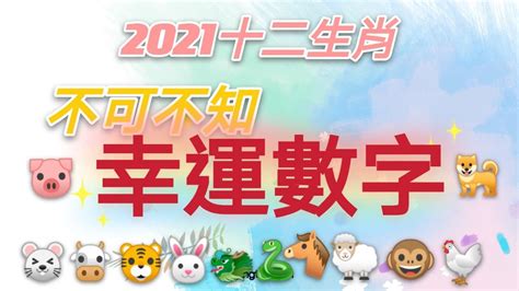 12生肖幸運數字|【生肖數字】屬你最旺！12生肖幸運數字全公開：財運、桃花運隨。